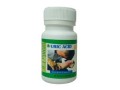 uric-acid-support-for-muscle-discomfort-in-tofol-village-in-kosrae-micronesia-call-27710732372-small-2