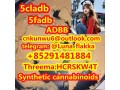 5cl-adb5f-adbadbbmdmb-4en-pinaca-cas-2504100-70-1-cas-1185282-27-2-cas-137350-66-4-small-3