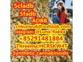 5cl-adb5f-adbadbbmdmb-4en-pinaca-cas-2504100-70-1-cas-1185282-27-2-cas-137350-66-4-small-0