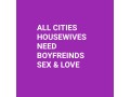 housewives-need-boyfriends-sex-small-0