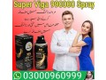 super-viga-990000-spray-in-lahore-03000960999-small-0